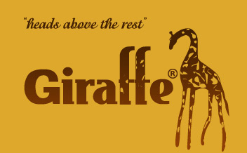 Giraffe Web Development & Design, Website Designer Greenville, Website Design South Carolina